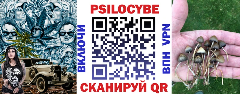Галлюциногенные грибы мухоморы  Калининец 